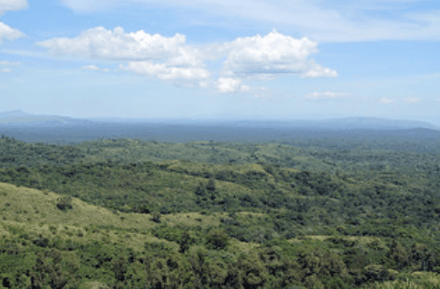 Rwanda Landscape