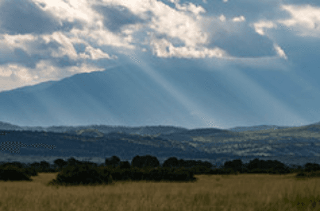 Rwanda Landscape
