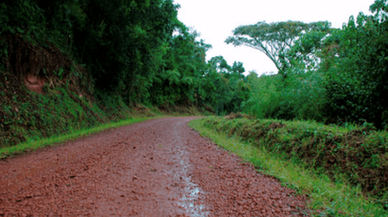 Rwanda Landscape